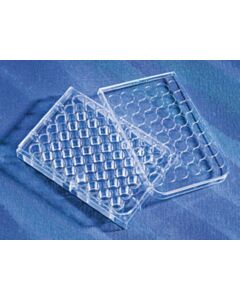 Corning Costar® 48-well Clear TC-treated Multiple Well Plates Individually