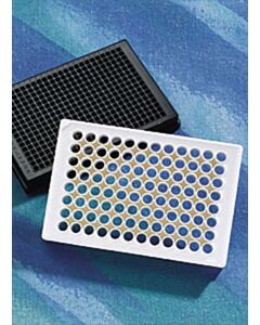 Corning 384-well Clear Flat Bottom Polystyrene Poly-D-Lysine Coated