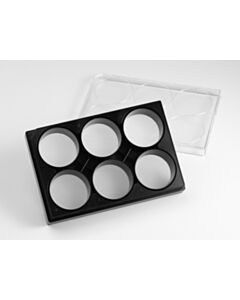 Corning Elplasia® 6-well Black/Clear Round Bottom Ultra-Low Attachment