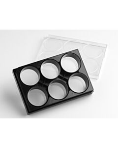 Corning Elplasia® 6-well Black/Clear Square Plasma Treated Microcavity