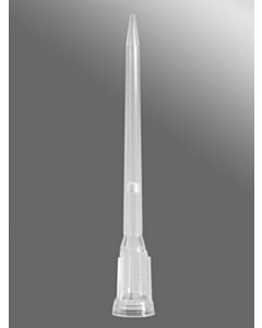 CORNING_4808_HR.jpg