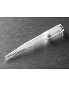 CORNING_4809_HR.jpg