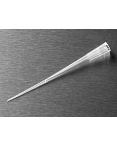Corning 1-200 µL Round 05 mm Thick Gel-Loading Pipet Tips Natural