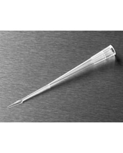 Corning 1-200 µL Flat 02 mm Thick Gel-Loading Pipet Tips Natural