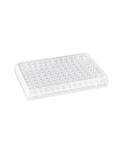 CORNING_7369_HR.jpg