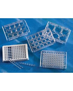 Corning 96-well (1 x 8 Stripwell™) Clear Flat Bottom Polystyrene