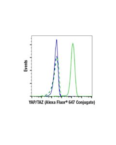 Cell Signaling Yap/Taz (D24e4) Rabbit mAb (Alexa Fluor 647 Conjugate)