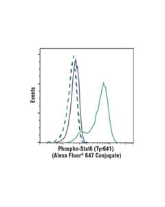 Cell Signaling Phospho-Stat6 (Tyr641) (D8s9y) Rabbit mAb (Alexa Fluor 647 Conjugate)