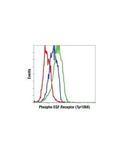 Cell Signaling Phosphoplus Egfr (Tyr1068) Antibody Duet