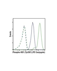 Cell Signaling Phospho-HS1 (Tyr397) (D12C1) XP Rabbit mAb (PE Conjugate)
