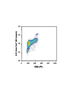 Cell Signaling Ki-67 (D3b5) Rabbit mAb (Alexa Fluor  488 Conjugate)