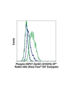Cell Signaling Phospho-Hsp27 (Ser82) (D1h2f6) Xp ® Rabbit mAb (Alexa Fluor ® 647 Conjugate)