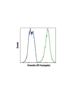 Cell Signaling Vimentin (D21h3) Xp Rabbit mAb (PE Conjugate)