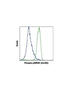 Cell Signaling Phospho-P90rsk (Ser380) (D5d8) Rabbit mAb