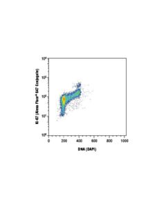 Cell Signaling Ki-67 (D3b5) Rabbit mAb (Alexa Fluor 647 Conjugate)