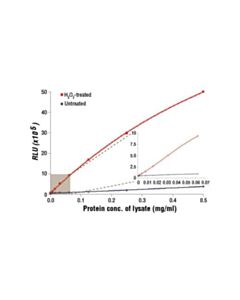 Cell Signaling Pathscan Phospho-Acetyl-Coa Carboxylase (Ser79) Chemiluminescent Sandwich Elisa Kit