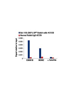 Cell Signaling Bcl-11b (D6f1) Xp Rabbit mAb