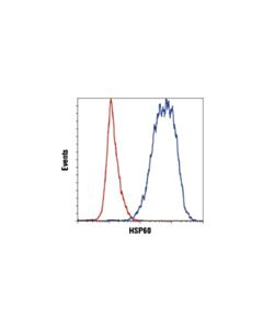 Cell Signaling Hsp60 (D6f1) Xp Rabbit mAb