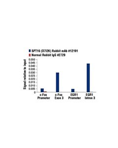 Cell Signaling Spt16 (D7i2k) Rabbit mAb