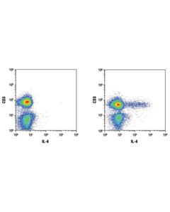 Cell Signaling Il-4 (D19a10) Rabbit mAb