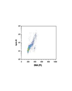 Cell Signaling Cyclin B1 (D5c10) Xp Rabbit mAb