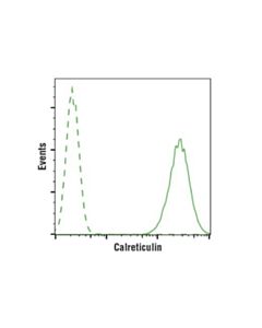 Cell Signaling Calreticulin (D3e6) Xp Rabbit mAb