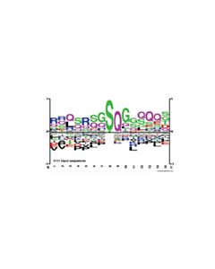 Cell Signaling PTMScan Phospho-ATM/ATR Substrate Motif [pSQ] Kit 1 Kit