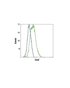 Cell Signaling Cox2 (D5h5) Xp Rabbit mAb