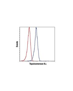 Cell Signaling Topoisomerase Iialpha (D10g9) Xp Rabbit mAb