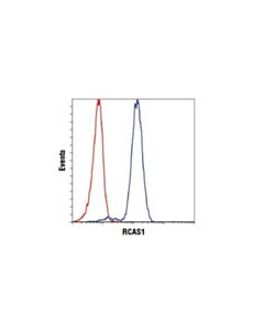Cell Signaling Rcas1 (D2b6n) Xp Rabbit mAb