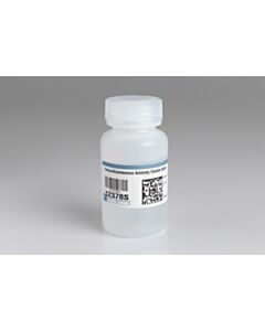Cell Signaling Immunofluorescence Antibody Dilution Buffer