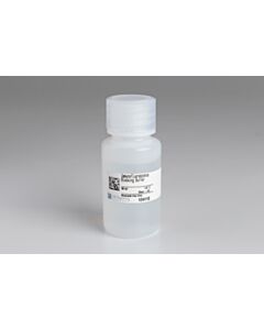 Cell Signaling Immunofluorescence Blocking Buffer