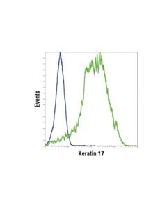Cell Signaling Keratin 17 (D12e5) Xp Rabbit mAb
