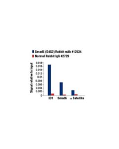 Cell Signaling Smad5 (D4g2) Rabbit mAb