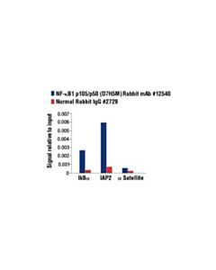 Cell Signaling Nf-Kappab1 P105/P50 (D7h5m) Rabbit mAb