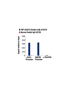 Cell Signaling Tbp (D5g7y) Rabbit mAb