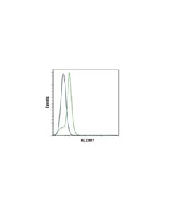 Cell Signaling Hexim1 (D5y5k) Rabbit mAb