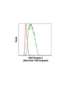 Cell Signaling Vegf Receptor 2 (D5b1) Rabbit mAb (Alexa Fluor  488 Conjugate)