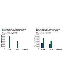 Cell Signaling His-Tag (D3i1o) Xp Rabbit mAb
