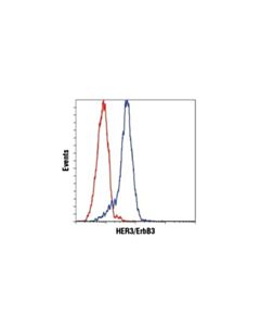 Cell Signaling Her3/Erbb3 (D22c5) Xp Rabbit mAb