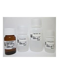 Cell Signaling Immunofluorescence Application Solutions Kit