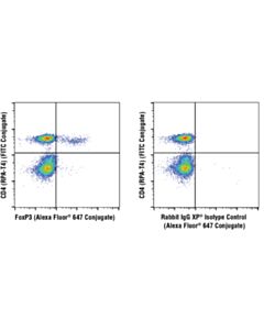 Cell Signaling Foxp3 (D6o8c) Rabbit mAb (Alexa Fluor 647 Conjugate)