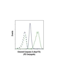 Cell Signaling Cleaved Caspase-3 (Asp175) (D3e9) Rabbit mAb (PE Conjugate)