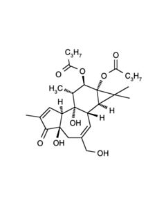 Cell Signaling Pdbu (Phorbol 12,13-Dibutyrate)