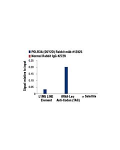 Cell Signaling Polr3a (D5y2d) Rabbit mAb
