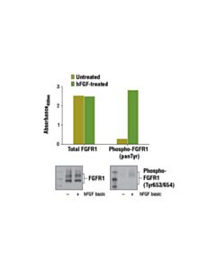Cell Signaling Pathscan  Total Fgf Receptor 1 Sandwich Elisa Kit