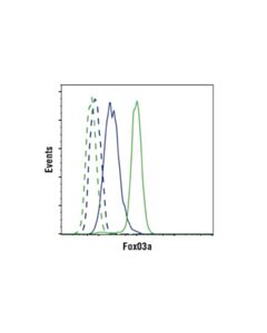 Cell Signaling Foxo3a (D19a7) Rabbit mAb