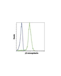 Cell Signaling Beta2-Microglobulin (D8p1h) Rabbit mAb