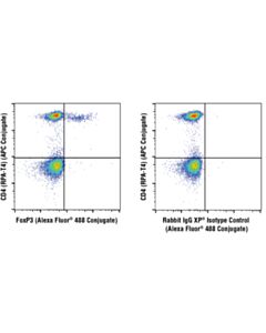 Cell Signaling Foxp3 (D6o8c) Rabbit mAb (Alexa Fluor 488 Conjugate)
