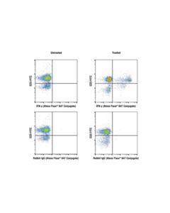 Cell Signaling Ifn-Gamma (D3h2) Xp Rabbit mAb (Alexa Fluor 647 Conjugate)